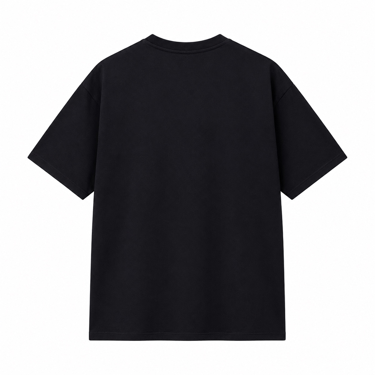 Stüssy International Negra, vista trasera